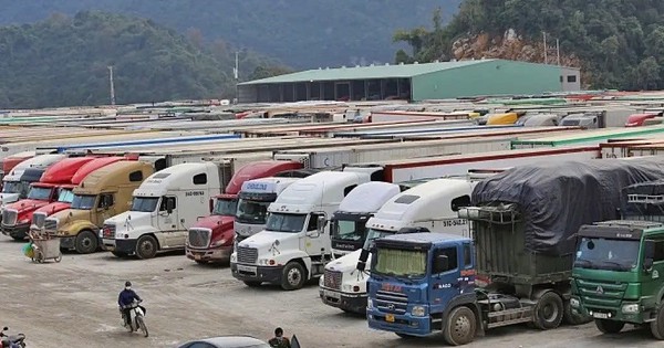 Văn phòng Chính phủ 'hỏa tốc' yêu cầu hướng  dẫn kiểm tra thực phẩm nhập khẩu trước 5.2.