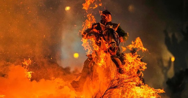 Hình ảnh về ngựa được thể hiện ra sao trong các nền văn hóa?