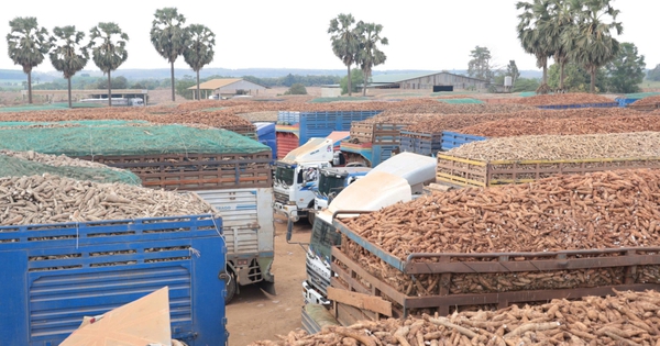 12 Hiệp hội kiến nghị Chính phủ tháo gỡ khó khăn từ Nghị định 46