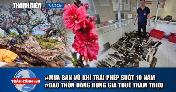Toàn cảnh 17h: Triệt phá đường dây suốt 10 năm mua bán vũ khí | Chiêm ngưỡng cây đào ‘dáng rừng’ giá thuê trăm triệu