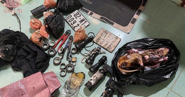 Bắt nhóm trộm hơn 5.200 con chó gây phẫn nộ ở Gia Lai