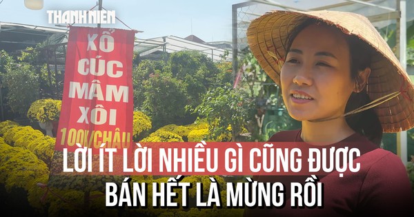 Hoa Tết Bính Ngọ 2026: Nỗi lo kép từ nhà vườn và tiểu thương