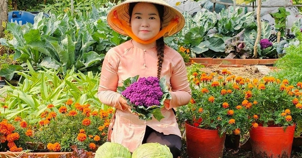 Vườn rau xanh mướt, rực rỡ sắc hoa trong lòng thành phố