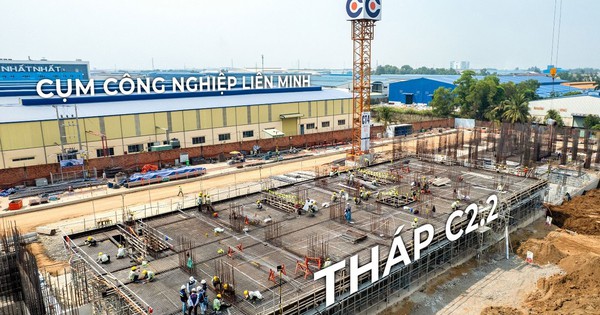 Gỗ An Cường: Thành quả ấn tượng khi đảm nhiệm vai trò CĐT dự án BĐS