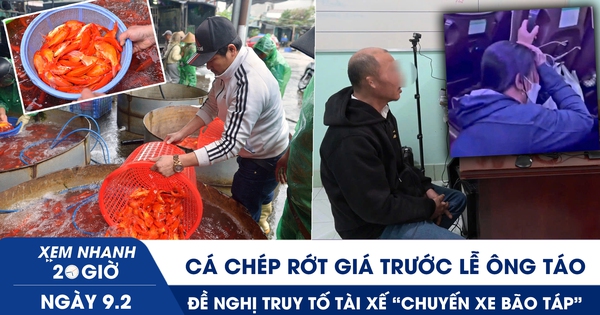 Xem nhanh 20h ngày 9.2: Cá chép rớt giá trước lễ ông Táo | Đề nghị truy tố tài xế ‘chuyến xe bão táp’ Đồng Tháp