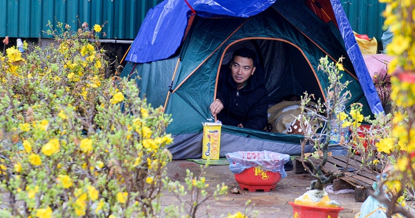 Đào, quất ế ẩm, tiểu thương đỏ mắt mong 'trời đừng mưa nữa'