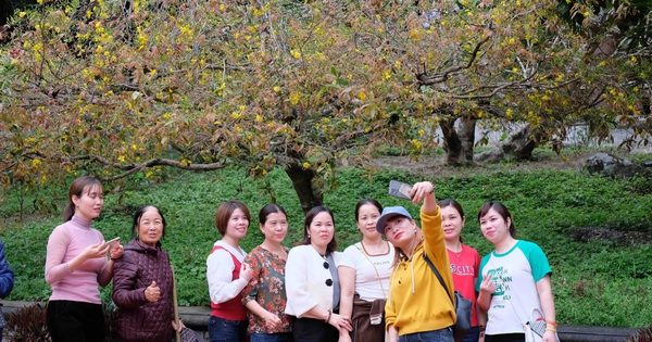 Áp dụng vé điện tử và giám sát thông minh tại Yên Tử