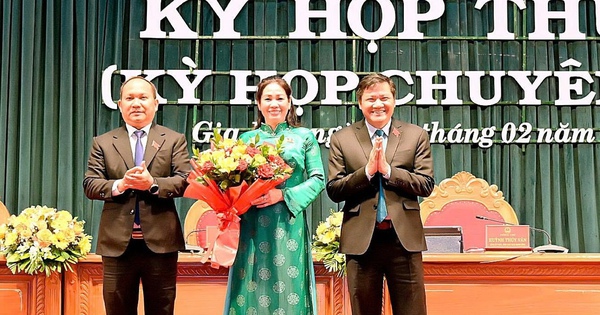 HĐND tỉnh Gia Lai thông qua 19 nghị quyết, bầu Trưởng ban Dân tộc