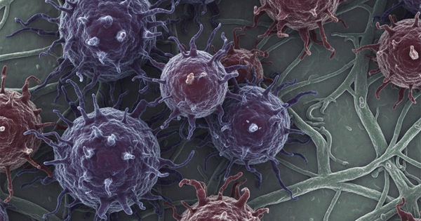 Nghiên cứu về 36 loại ung thư: 3 yếu tố nguy cơ hàng đầu được hé lộ