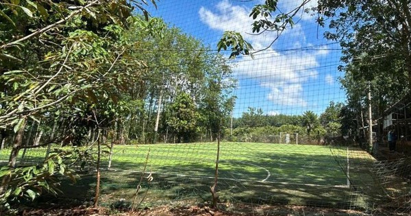 Điều tra 2 vụ nghi bị điện giật khiến 2 người tử vong ở Đồng Nai