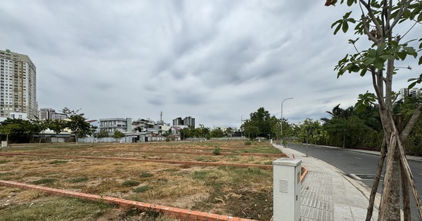 TP.HCM đề xuất phương án 1 thống nhất quy định tách thửa đất sau sáp nhập