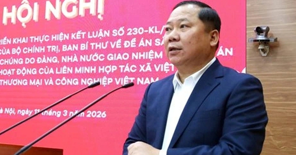 Tiếp tục r&agrave; so&aacute;t, tinh gọn tổ chức bộ m&aacute;y b&ecirc;n trong của c&aacute;c hội