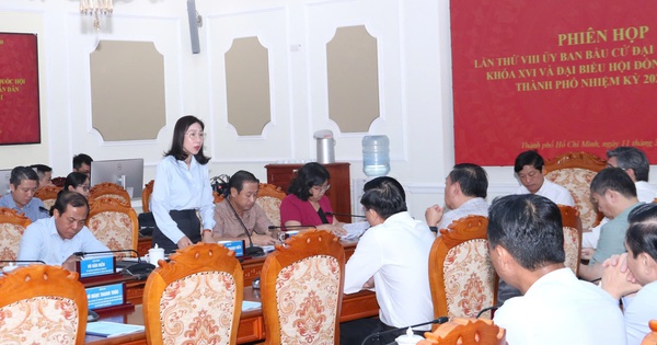 TP.HCM: Phấn đấu ho&agrave;n tất ph&aacute;t thẻ cử tri trong ng&agrave;y 11.3