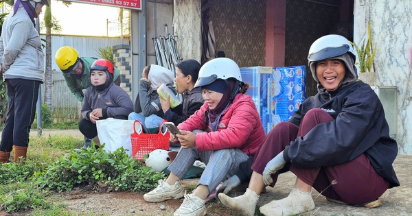Ngã Ba Cây Gòn: 'Chợ Lao Động' Đặc Biệt Chỉ Họp Mùa Hái Tiêu Ở Đắk Lắk