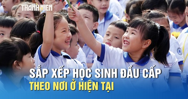 TP.HCM đổi mới tuyển sinh đầu cấp: Ưu tiên học gần nhà, không theo ranh giới hành chính