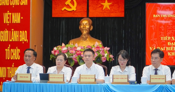 Cử tri kỳ vọng g&igrave; ở luật sư, b&aacute;c sĩ v&agrave; Gi&aacute;m đốc Sở Tư ph&aacute;p TP.HCM?