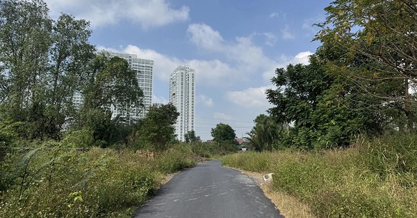 TP.HCM: 100 dự án bất động sản sẽ được xác định giá đất trong năm 2026