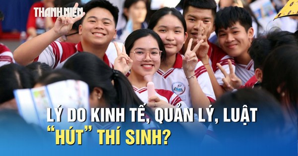 Vì sao khối ngành kinh tế, quản lý, luật 'hút' thí sinh?