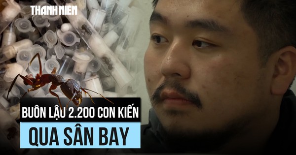 Kenya bắt giữ công dân Trung Quốc buôn lậu 2.200 con kiến sống trong hành lý
