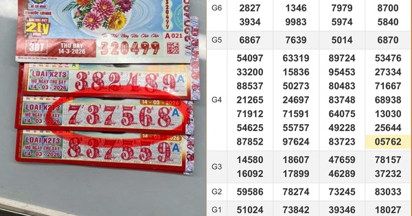 Hai đại lý vé số Tây Ninh, Vĩnh Long bán trúng 14 tờ vé khuyến khích và an ủi