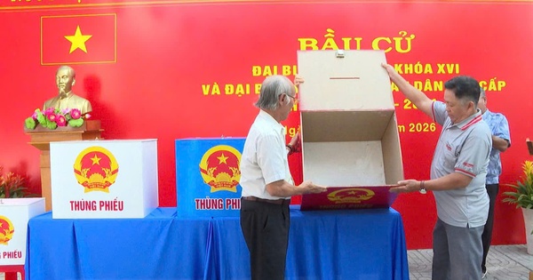 Ngư d&acirc;n x&atilde; Long Hải v&agrave;o bờ, chờ được bỏ phiếu bầu cử sớm