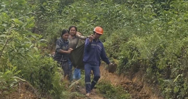 Khai thác keo dưới đường dây điện cao thế, 2 người nhập viện cấp cứu