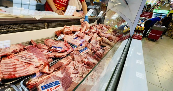 Giá heo hơi hôm nay 17.3.2026: Bất ngờ tăng