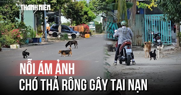 Cảnh sát thả rông lòng đường, người dân hoang mang không dám di chuyển