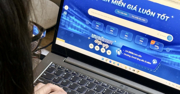 Tên miền '.vn' hai ký tự 'hi' chốt giá hơn 200 triệu đồng