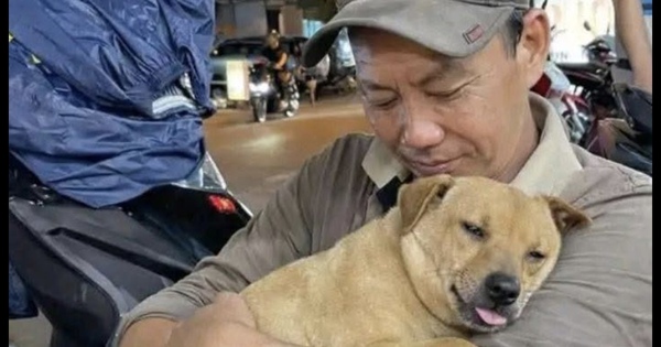 Tìm chó cưng tên Nọng suốt 1 tháng: Cộng đồng mạng dõi theo cái kết