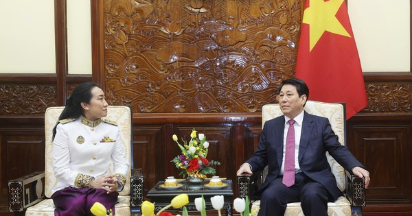 Chủ tịch nước Lương Cường tiếp đại sứ các nước trình quốc thư