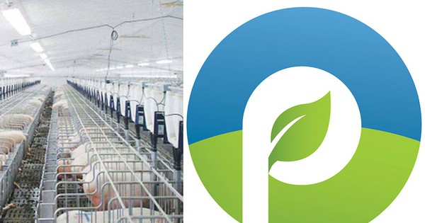 Công ty CP Procimex Việt Nam: Cải tiến công nghệ, nâng cao chất lượng dịch vụ