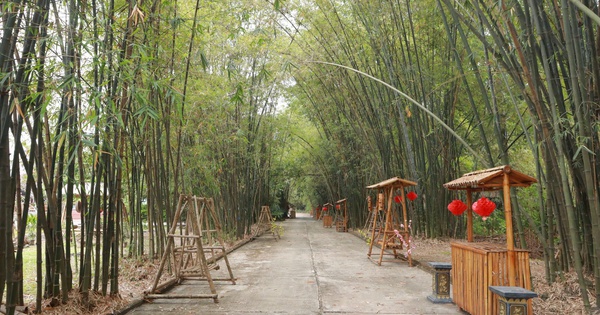 Phú An - 'ngân hàng tre' lớn nhất Việt Nam, xanh mát giữa vùng công nghiệp