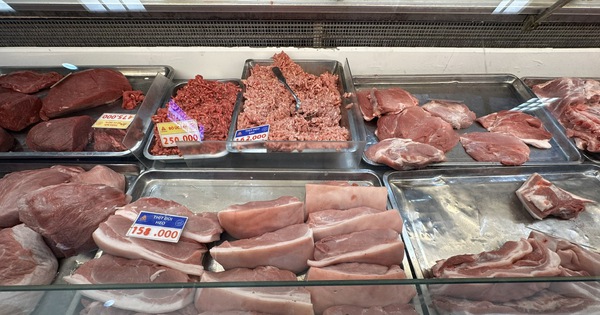 Giá heo hơi hôm nay 19.3.2026: Tăng thêm 2.000 đồng