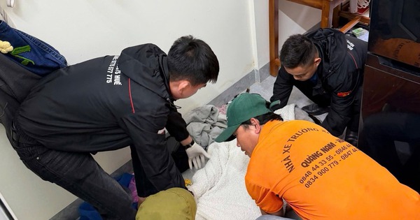 Điều tra nguyên nhân nữ sinh viên tử vong trong phòng trọ