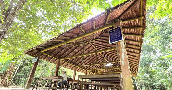 Di tích Căn cứ Trung ương Cục miền Nam: Huyền diệu dưới tán rừng Rùm Đuôn