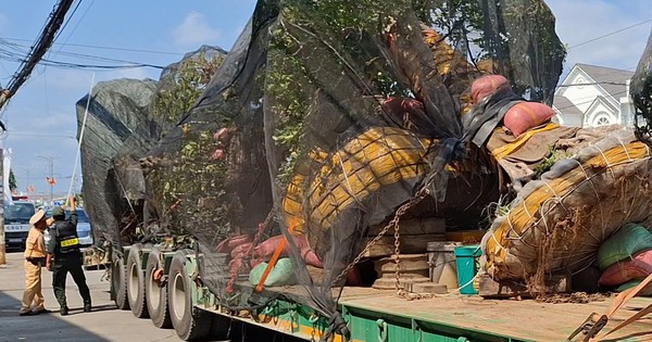 Để che lấp biển số rơ moóc, tài xế bị lập biên bản