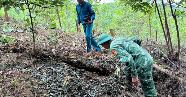 Sạt lở đe dọa trường học vùng cao, Đà Nẵng công bố tình huống khẩn cấp