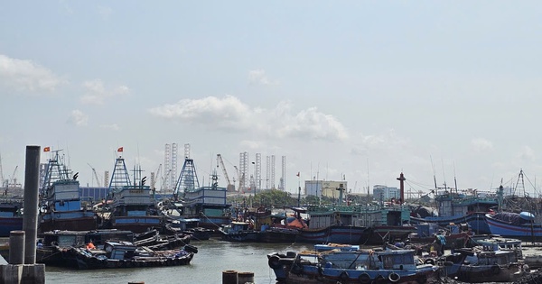 Vì sao TP.HCM chưa chi tiền hỗ trợ cho hàng trăm chủ tàu cá?