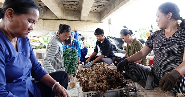 Chuyện tử tế: Miệt mài tìm thuốc nam giúp bệnh nhân nghèo