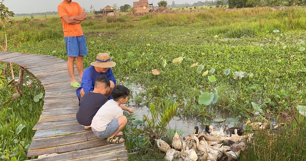 Cô gái miền Tây làm nông trại nghỉ dưỡng thu hút từ 200 - 300 lượt khách/tháng