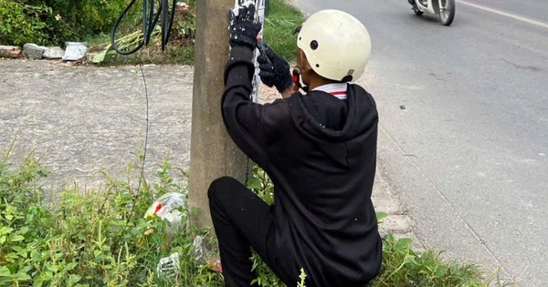 TP.HCM: Xử lý 5 thanh niên, buộc gỡ bỏ quảng cáo 'tín dụng đen'