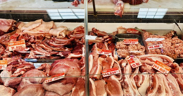 Giá heo hơi hôm nay 24.3.2026: Biến động trái chiều