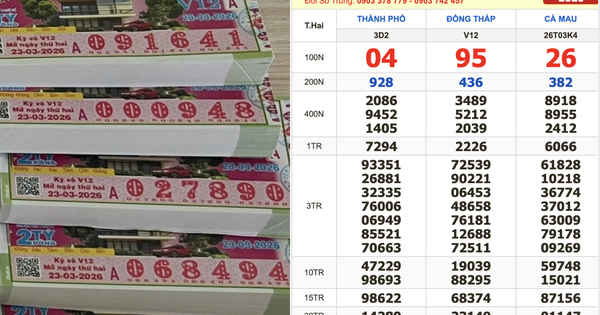 Tây Ninh: Đại lý bán trúng nguyên cây 140 tờ vé số, 14 tờ độc đắc Đồng Tháp