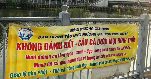 Thực hư băng rôn không câu cá ở kênh Nhiêu Lộc - Thị Nghè gây xôn xao