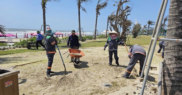 Công viên Bãi Sau ngập cát biển: Cần khảo sát, nghiên cứu kỹ