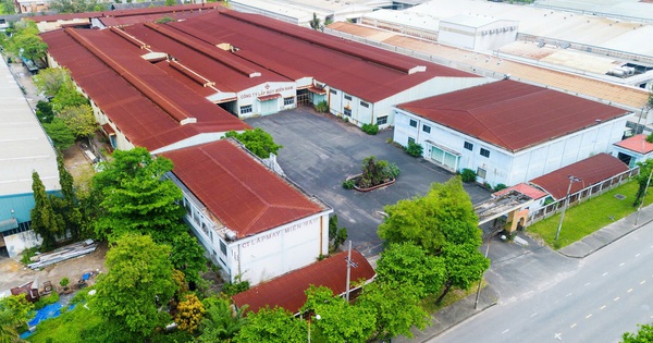 Đà Nẵng Đấu Giá Khối Tài Sản Hơn 81 Tỷ Đồng Tại Khu Công Nghiệp Hòa Khánh