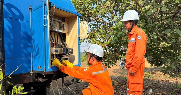 PC Quảng Ngãi đảm bảo cấp điện lễ khởi công 5 trường nội trú liên cấp