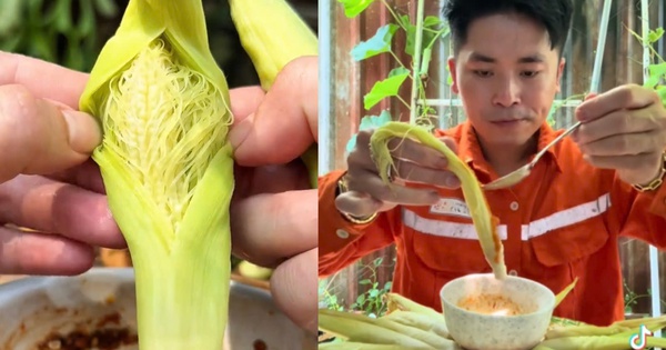 Bắp bao tử là gì mà ăn cả vỏ, râu vẫn được khen ngon?