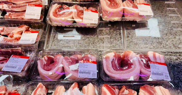 Giá heo hơi hôm nay 26.3.2026: Cán mốc 70.000 đồng/kg